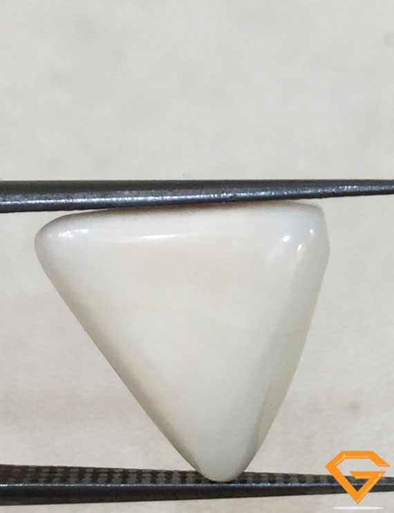 5.90 ratti/5.30 ct Natural Certified  White Coral/सफ़ेद मूंगा